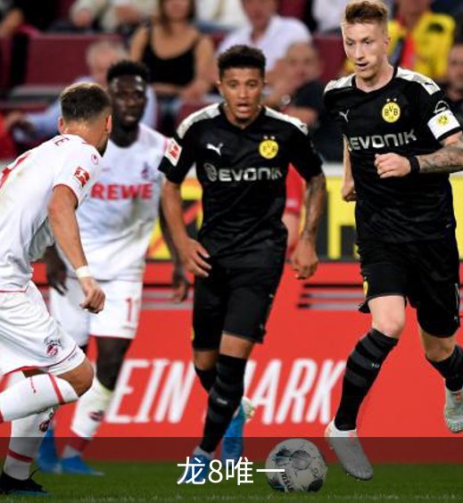了解龙8唯一